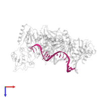 DNA (5'-D(*A*CP*AP*GP*TP*CP*CP*CP*TP*GP*TP*TP*CP*GP*GP*(MRG)P*CP*GP*CP*CP*(ATM))-3') in PDB entry 3v81, assembly 1, top view.