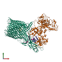 PDB entry 3v8x coloured by chain, front view.