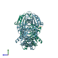PDB entry 3vcc coloured by chain, side view.