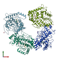 PDB entry 3veh coloured by chain, front view.