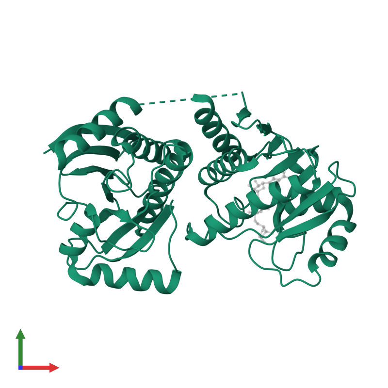 <div class='caption-body'>PDB entry 3vfq contains 1 copy of Poly [ADP-ribose] polymerase 14 in assembly 1. This protein is highlighted and viewed from the front.</div>