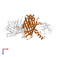 ATPase WRNIP1 in PDB entry 3vht, assembly 1, top view.
