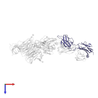 SG/19 Fab fragment (Light chain) in PDB entry 3vi3, assembly 2, top view.