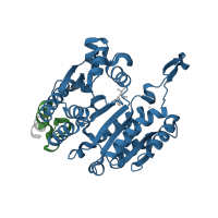 The deposited structure of PDB entry 3vml contains 2 copies of Pfam domain PF00180 (Isocitrate/isopropylmalate dehydrogenase) in 3-isopropylmalate dehydrogenase. Showing 2 copies in chain A.
