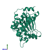 Dual specificity mitogen-activated protein kinase kinase 6 in PDB entry 3vn9, assembly 1, side view.