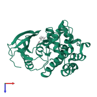 Dual specificity mitogen-activated protein kinase kinase 6 in PDB entry 3vn9, assembly 1, top view.