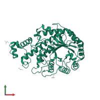 Beta/alpha-amylase in PDB entry 3voc, assembly 1, front view.