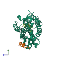 PDB entry 3vru coloured by chain, side view.