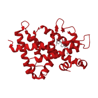 The deposited structure of PDB entry 3vt4 contains 1 copy of CATH domain 1.10.565.10 (Retinoid X Receptor) in Vitamin D3 receptor. Showing 1 copy in chain A.