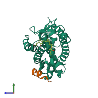 Hetero dimeric assembly 1 of PDB entry 3vt5 coloured by chemically distinct molecules, side view.