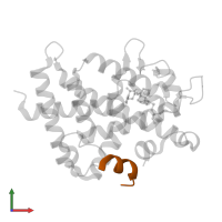 COACTIVATOR PEPTIDE DRIP in PDB entry 3vt5, assembly 1, front view.