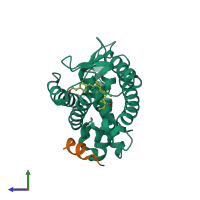 PDB entry 3vt6 coloured by chain, side view.