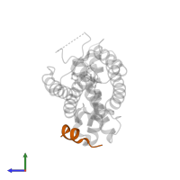 COACTIVATOR PEPTIDE DRIP in PDB entry 3vt8, assembly 1, side view.