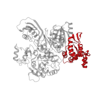 The deposited structure of PDB entry 3vti contains 2 copies of CATH domain 1.10.357.160 (Tetracycline Repressor; domain 2) in Carbamoyltransferase. Showing 1 copy in chain A.
