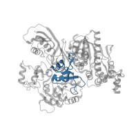 The deposited structure of PDB entry 3vti contains 2 copies of CATH domain 3.30.110.120 (Translation Initiation Factor IF3) in Carbamoyltransferase. Showing 1 copy in chain A.