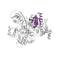 The deposited structure of PDB entry 3vti contains 2 copies of CATH domain 3.30.420.560 (Nucleotidyltransferase; domain 5) in Carbamoyltransferase. Showing 1 copy in chain A.