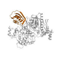 The deposited structure of PDB entry 3vti contains 2 copies of CATH domain 3.30.70.100 (Alpha-Beta Plaits) in Carbamoyltransferase. Showing 1 copy in chain A.