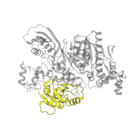 The deposited structure of PDB entry 3vti contains 2 copies of CATH domain 3.90.870.40 (DHBP synthase) in Carbamoyltransferase. Showing 1 copy in chain A.