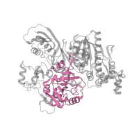 The deposited structure of PDB entry 3vti contains 2 copies of Pfam domain PF01300 (Telomere recombination) in Carbamoyltransferase. Showing 1 copy in chain A.