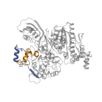 The deposited structure of PDB entry 3vti contains 4 copies of Pfam domain PF07503 (HypF finger) in Carbamoyltransferase. Showing 2 copies in chain A.