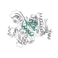 The deposited structure of PDB entry 3vti contains 2 copies of Pfam domain PF17788 (HypF Kae1-like domain) in Carbamoyltransferase. Showing 1 copy in chain A.