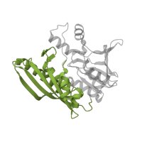 The deposited structure of PDB entry 3vti contains 2 copies of CATH domain 3.30.1330.10 (60s Ribosomal Protein L30; Chain: A;) in Hydrogenase maturation factor. Showing 1 copy in chain C.
