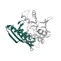 The deposited structure of PDB entry 3vti contains 2 copies of Pfam domain PF00586 (AIR synthase related protein, N-terminal domain) in Hydrogenase maturation factor. Showing 1 copy in chain C.