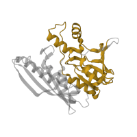 The deposited structure of PDB entry 3vti contains 2 copies of Pfam domain PF02769 (AIR synthase related protein, C-terminal domain) in Hydrogenase maturation factor. Showing 1 copy in chain C.