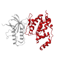 The deposited structure of PDB entry 3vul contains 1 copy of CATH domain 1.10.510.10 (Transferase(Phosphotransferase); domain 1) in Mitogen-activated protein kinase 8. Showing 1 copy in chain A.