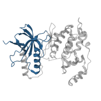 The deposited structure of PDB entry 3vul contains 1 copy of CATH domain 3.30.200.20 (Phosphorylase Kinase; domain 1) in Mitogen-activated protein kinase 8. Showing 1 copy in chain A.