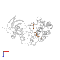 C-Jun-amino-terminal kinase-interacting protein 1 in PDB entry 3vum, assembly 1, top view.