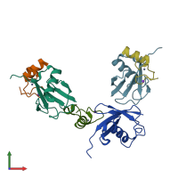 PDB entry 3vuy coloured by chain, front view.
