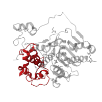 The deposited structure of PDB entry 3vwr contains 1 copy of CATH domain 1.20.58.710 (Methane Monooxygenase Hydroxylase; Chain G, domain 1) in 6-aminohexanoate-dimer hydrolase. Showing 1 copy in chain A.