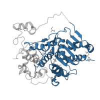 The deposited structure of PDB entry 3vwr contains 1 copy of CATH domain 3.40.710.10 (Beta-lactamase) in 6-aminohexanoate-dimer hydrolase. Showing 1 copy in chain A.