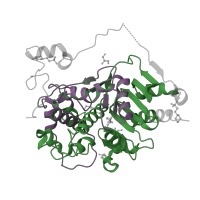 The deposited structure of PDB entry 3vwr contains 2 copies of Pfam domain PF00144 (Beta-lactamase) in 6-aminohexanoate-dimer hydrolase. Showing 2 copies in chain A.