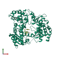 Monomeric assembly 1 of PDB entry 3vws coloured by chemically distinct molecules, front view.