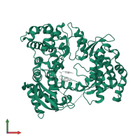 RNA-directed RNA polymerase NS5 in PDB entry 3vws, assembly 1, front view.