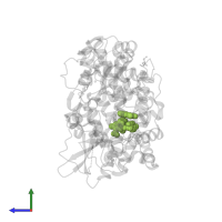 5-{[(4-chlorophenyl)sulfonyl]amino}-2-methyl-1-benzofuran-3-carboxylic acid in PDB entry 3vws, assembly 1, side view.