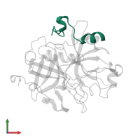 Thrombin light chain in PDB entry 3vxf, assembly 1, front view.