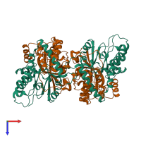 Hetero tetrameric assembly 1 of PDB entry 3vyh coloured by chemically distinct molecules, top view.