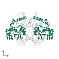Cobalt-containing nitrile hydratase subunit alpha in PDB entry 3vyh, assembly 1, front view.