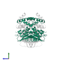 Cobalt-containing nitrile hydratase subunit alpha in PDB entry 3vyh, assembly 1, side view.