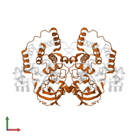 Cobalt-containing nitrile hydratase subunit beta in PDB entry 3vyh, assembly 1, front view.