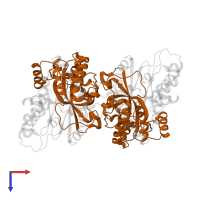 Cobalt-containing nitrile hydratase subunit beta in PDB entry 3vyh, assembly 1, top view.