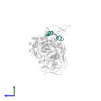 Insulin A chain in PDB entry 3w11, assembly 1, side view.