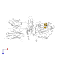 Insulin receptor subunit alpha in PDB entry 3w11, assembly 1, top view.