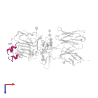 Insulin A chain in PDB entry 3w13, assembly 1, top view.