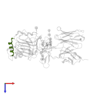 Insulin B chain in PDB entry 3w13, assembly 1, top view.