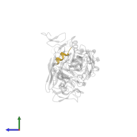 Insulin receptor subunit alpha in PDB entry 3w13, assembly 1, side view.