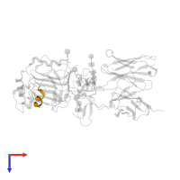 Insulin receptor subunit alpha in PDB entry 3w13, assembly 1, top view.